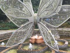 -杭州黄龙洞