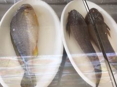 -金丝饭庄(金丝新天地保障性住宅小区店)