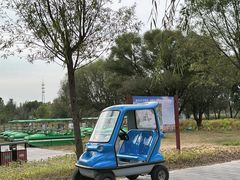 -野鸭湖国家湿地公园