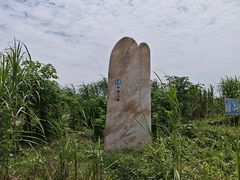 -湖南东洞庭湖国家级自然保护区