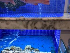 水产区-香山湖渔家大院