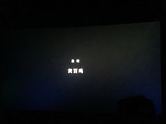 -CGV影城(东方广场4DX店)