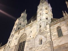 -斯蒂芬主教座堂(Stephansdom)