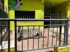 -荆州中山公园动物园