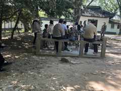 -上海佘山国家森林公园天马山园