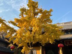 -龙华素斋(龙华路店)