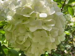 -上海滨江森林公园