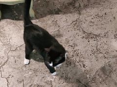 -么么咖啡(燕郊店)