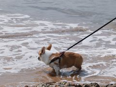 -青岛第一海水浴场