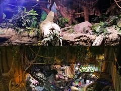 -迪拜水族馆及水下动物园