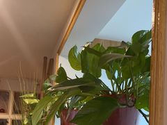 -咖啡人·融合餐厅(万达环宇店)