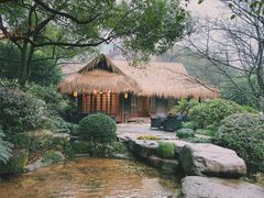 -中国茶叶博物馆(双峰馆区)