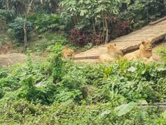 -兰剑驾校(汉阳校区)