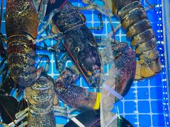 -日照大牌檔•小船海鲜(万平口店)