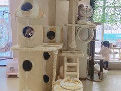 -藏猫猫咖啡主题馆(中央大道店)