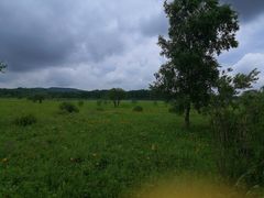 -御道口草原森林风景区-游客咨询处