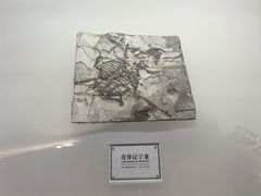 -辽宁古生物博物馆