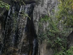 -昆明动物园