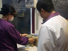 -宠爱国际动物医院·消化内科·心肾内科·ISFM猫友好(望京店)