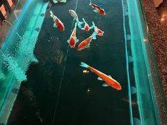 -樱蘭全息养生馆(三里屯店)