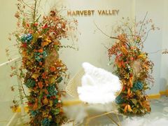 -执茶识麦(万达华府店)