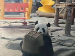 -武汉动物园