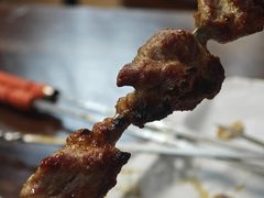 -新疆阿力烧烤