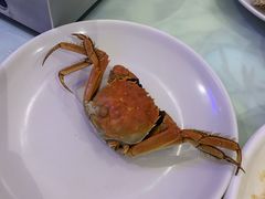 -裕龙汤泉