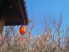 -无锡梅园公园