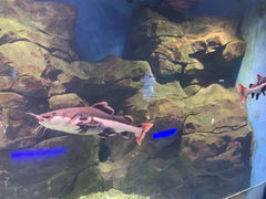 -石家庄海洋公园