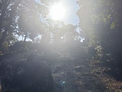 -北仑森林植物园