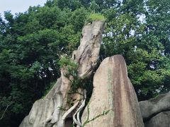 -宝岩生态观光园