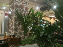 -巴依老爷新疆美食(望京小街店)