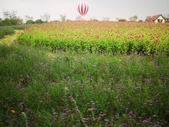 -歌斐颂巧克力小镇