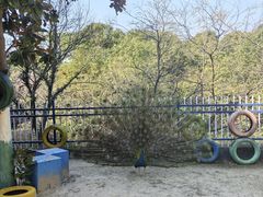 -宁波九龙湖开元度假村