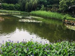 -天目湖山水园