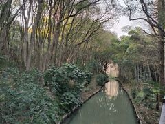 -同里国家湿地公园