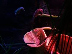 -沈阳海洋探索中心