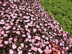 -青岛海尔洲际酒店