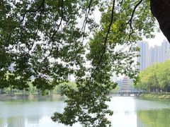 -宝岛公园