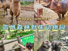 -贵州森林野生动物园