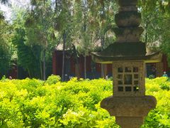 -洛阳白马寺