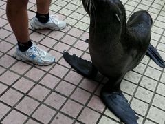 -南宁加勒比水世界