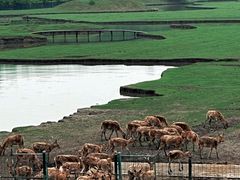 -溱湖国家湿地公园