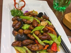 炒蚕蛹-丽苑大酒店