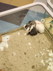 -meland亲子乐园•派对•研学(苏州悠方购物中心店)