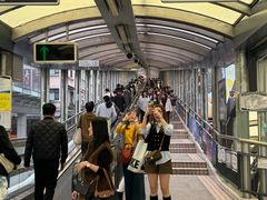 -中环半山扶手电梯