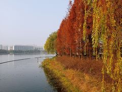 -尚贤河湿地