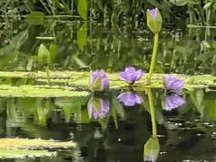 -云溪植物园