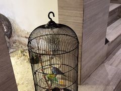 -云中漫步·足疗养生会馆(金开店)